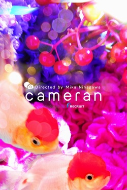 写真家の蜷川実花氏が監修したカメララアプリ『cameran』が、リリースから10日で100万ダウンロードを達成した。