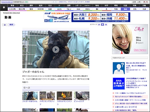 読売新聞のニュースサイト『YOMIURI ONLINE』、動画配信プラットフォーム『J-Stream MediaLize』を採用