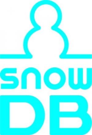分散型インメモリデータベース「SnowDB」を発表　－リアルタイムデータの高速管理を実現ー