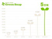 植物写真共有サービス「GreenSnap」、投稿枚数が5万枚を突破
