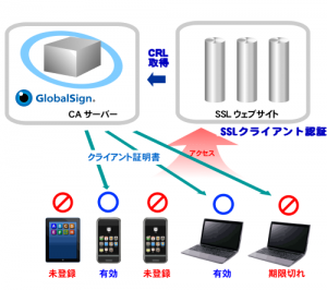 グローバルサインのマネージドPKI Liteに対応した「SSLクライアント認証」サーバーの販売開始