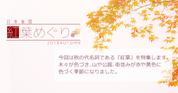 Webブック型共有サービス『board』“紅葉特集”を開催　日本全国のSNS映えする紅葉の名所を一気読み！
