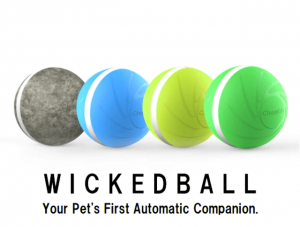 飼い主がいなくても自動でペットの遊び相手になるペットトイ Wicked Ball(ウィキッドボール) クラウドファンディングを開始！