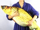 【上海問屋限定販売】大漁の夢を見よう　お魚抱き枕と枕　販売開始