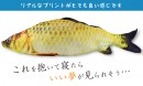 【上海問屋限定販売】大漁の夢を見よう　お魚抱き枕と枕　販売開始