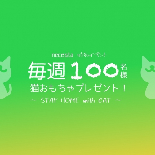 愛猫との"STAY HOME"を満喫！毎週100名様に猫おもちゃをプレゼント。猫好き専用SNSアプリ「ねこすた」