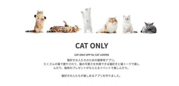 猫好き専用SNSアプリ「ねこすた」が、愛猫との"STAY HOME"を応援！毎週100名に猫おもちゃが当たるイベントが好評開催中、じゃれる猫たちの姿が続々投稿