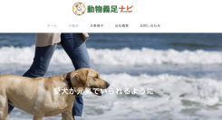 愛犬・愛猫の、不自由になった足の悩みを手助けするサイト「動物義足ナビ」公開