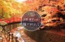 京都・東京ベイエリアを巡る贅沢プラン。上質な食・体験・宿泊が一度に味わえる“至福のおとな旅”。