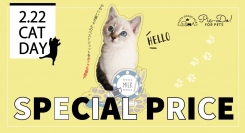 ティーエスアートが運営する「Pic-Do!（ピクドゥ）for Pets」が2月22日の「猫の日」にちなんでアクリルフィギュア10％OFFセールを実施中