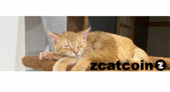 売上の一部が保護猫活動家に寄付される、話題のコレクタブルNFT・暗号資産プロジェクトの「zcatプロジェクト」が支援実績10件を達成しました