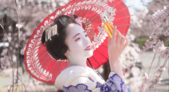 【新ブランド】伝統工芸品を世界に販売するECサイト「BECOS」が「日本ホホバ協会｜舞妓さんのゴールデンホホバ」の取り扱いを開始！