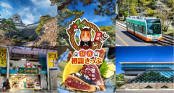 初詣やお買い物にぴったり! 12月30日~1月3日の年末年始5日間乗り放題 「とさでん交通 新春初詣きっぷ」をモバイルチケットで販売