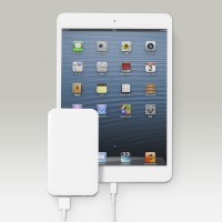 日本トラストテクノロジー（JTT）は5日、乾電池でスマートフォンなどを充電できるUSB電池パック「MyCharger USB Pro」を発売した。