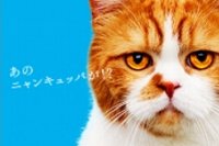 Y！mobile、1000円割引きの「ワンキュッパ割」キャンペーン