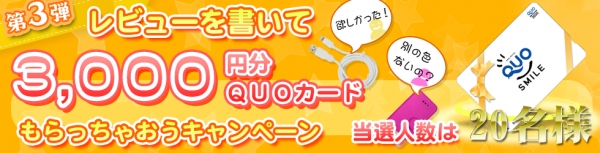 お手軽“ひとことレビュー“でQUOカード3,000円券をプレゼントオウルテック、レビューキャンペーン第3弾を実施