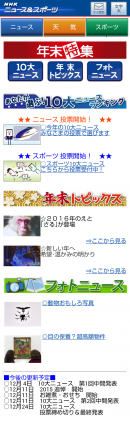 年末特集サンプルイメージ