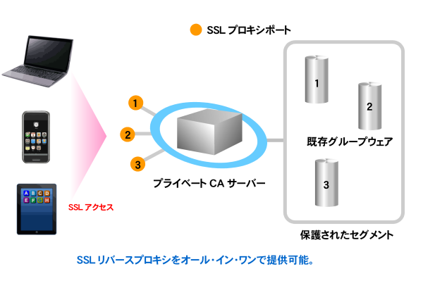 Powered BLUE プライベートCA について「アカデミック版」の発売開始