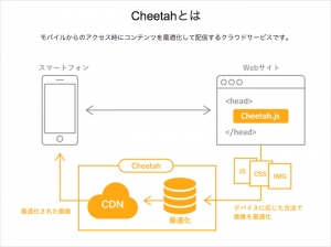 チーターの仕組み