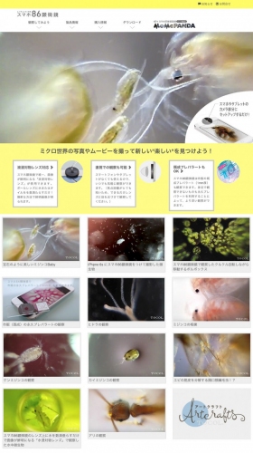レーウェンフック式 スマホ86顕微鏡の実写動画サイトを公開