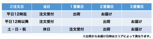 【Bizer株式会社】法人印お急ぎ便リリース記念！6月限定「法人印無料キャンペーン」開催！