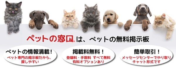 KDKが運営する“ペットと人と地域をつなぐ”「ペットの窓口(R)」が、プレオープンを経て9月1日から正式サービス開始！