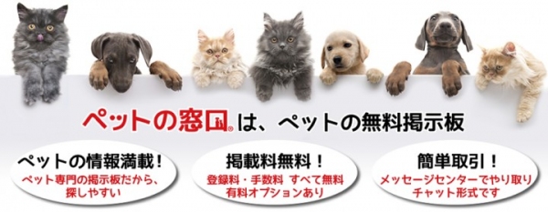 KDKが運営する“ペットと人と地域をつなぐ”「ペットの窓口(R)」が、プレオープンを経て9月1日から正式サービス開始！