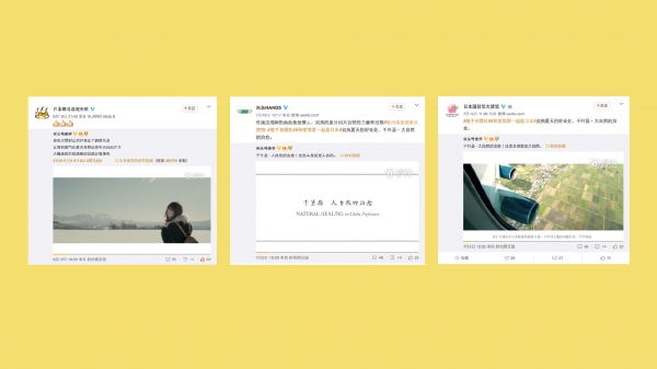 “日本を世界へ届ける”動画メディアTohaoTV(頭号美学)が中国で先行リリース！シリーズ動画1作あたり約1,000万PVを記録