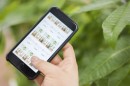 植物通販『HitoHana（ひとはな）』を運営する株式会社Beer and Techが1億円の資金調達。D2Cモデルの展開とtoB向けの植物流通インフラの構築へ