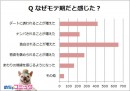 めちゃコミ調査レポートモテ期は本当に3回来る？あなたのモテ期エピソードとおすすめ漫画を教えて！