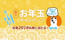 先着2018名様に限定・買って応募して10%ポイントのAmazonギフト券がもらえる！Leawo 新年お年玉キャンペーン絶賛開催中！