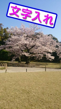 写真に文字を入れることに特化したアプリ 文字に（グラデーション、影、隆起）などの効果を付けれる 日本語フォントも豊富にあり、それを縦書きにできます。