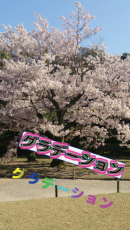 写真に文字を入れることに特化したアプリ 文字に（グラデーション、影、隆起）などの効果を付けれる 日本語フォントも豊富にあり、それを縦書きにできます。