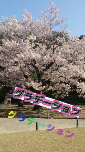 写真に文字を入れることに特化したアプリ 文字に（グラデーション、影、隆起）などの効果を付けれる 日本語フォントも豊富にあり、それを縦書きにできます。