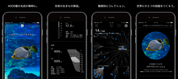 かざすAI図鑑アプリ「LINNÉ LENS」リリース(特許出願中)　 第一弾は約4,000種、日本の水族館にいる生き物の9割に対応
