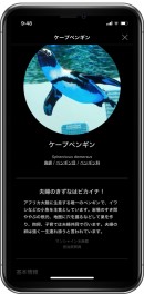 かざすAI図鑑アプリ「LINNÉ LENS」、無料体験キャンペーン開始　サンシャイン水族館、鳥羽水族館、海遊館と提携し、本日から順次11月末まで