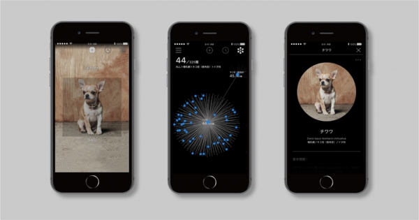 かざすAI図鑑アプリ「LINNÉ LENS」、世界の犬325種に対応。スマホをかざすだけで瞬時に犬種を判別。
