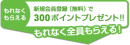 300ポイントをプレゼント