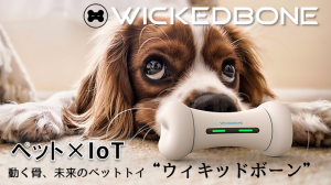 スマホで簡単操作！ペットの遊び相手になる未来のおもちゃ『ウィキッドボーン』ハローキティとコラボでクラウドファンディングスタート