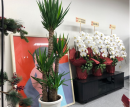 “DION PAY PTE.LTD”は11月28日、ポイント・マイレージ発行企業対象、提携営業開始致します。それに伴い、日本営業事務所を開設致しました。