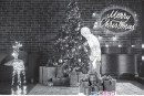 原宿に漫画の世界に入り込める“クリスマス映えスポット”登場！「めちゃ犬サンタ」12月21日より期間限定開催