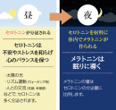 睡眠促進ホルモンを増やし、睡眠の質を高める『北の大地の夢しずく』機能性表示食品としてリニューアル発売