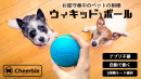 飼い主がいなくても自動でペットの遊び相手になるペットトイ Wicked Ball(ウィキッドボール) クラウドファンディングを開始！