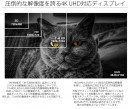 28型UHD(3840x2160)ＨＤＲ対応液晶モニター 60Hz 2ms FreeSync「JN-T2888UHDR」を発表