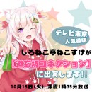 【人気沸騰中！】10月15日テレビ放映＆ファンミーティング告知★いろはにぽぺとvtuberがテレビ東京の【道玄坂コネクション】に出演＆ファンMTGも実施します！