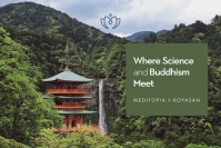 World Peace Gathering 2019 in Koyasan にて『Meditopia』限定キャンペーン実施決定！