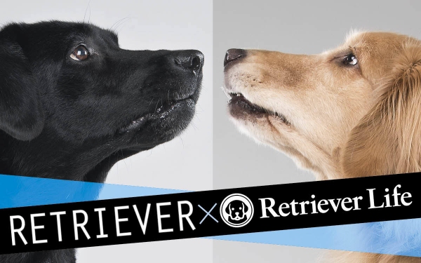 rakanu運営の「Retriever Life」、エイ出版社「RETRIEVER」と、レトに特化したクロスメディアを開始