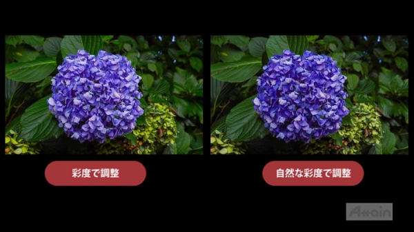 「Adobe Lightroom 2019」使い方eラーニングを動学.tvに公開