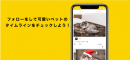 ペット投稿専用SNSアプリ「ペットじまん」iOS/Android にて配信を開始しました。