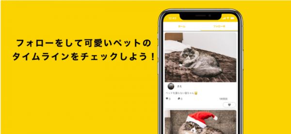 ペット投稿専用SNSアプリ「ペットじまん」iOS/Android にて配信を開始しました。